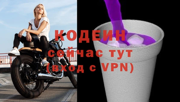 ECSTASY Белокуриха