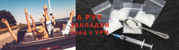ECSTASY Белокуриха