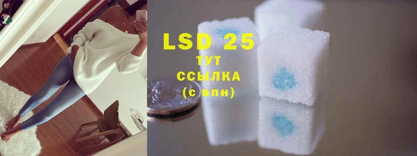ECSTASY Белокуриха