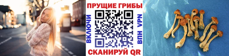 Галлюциногенные грибы мухоморы Салаир